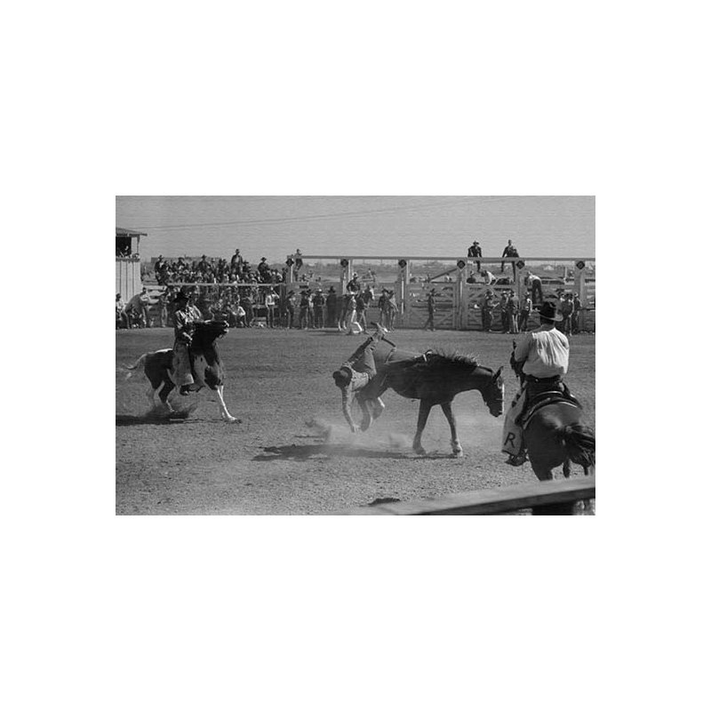 Imprimé de photographies bronzées off a bronco, H 28 po x l 42 po x P 1,5 po