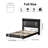 Komor Upholstered Storage Bed with Charging Station and LED Lights-1090827076-1090827077