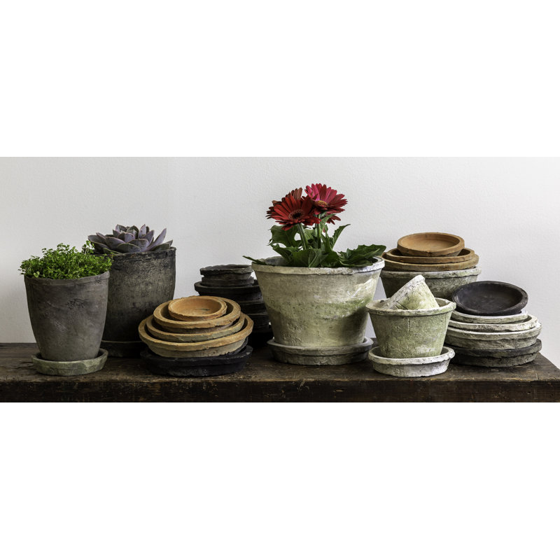 Ensemble 24 pièces soucoupes Farmer's