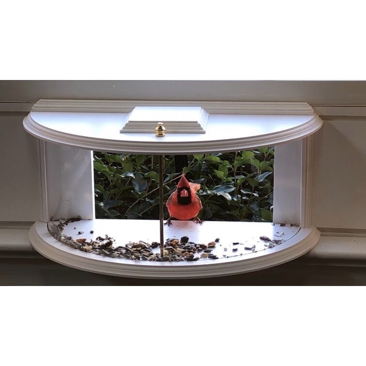 Mangeoire À Oiseaux Acrylique Transparent Fenêtre Mangeoire - Temu Canada