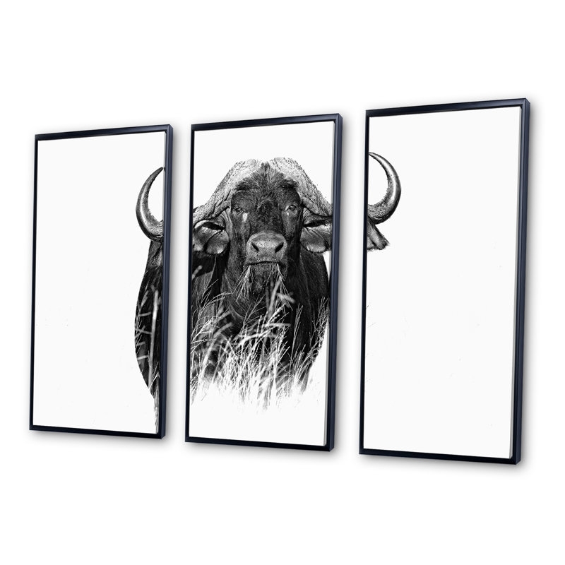 Portrait monochrome de Buffalo IV - 3 pièces, cadre flottant, impression sur toile, H 28 po x l 36 po, Cadre noir