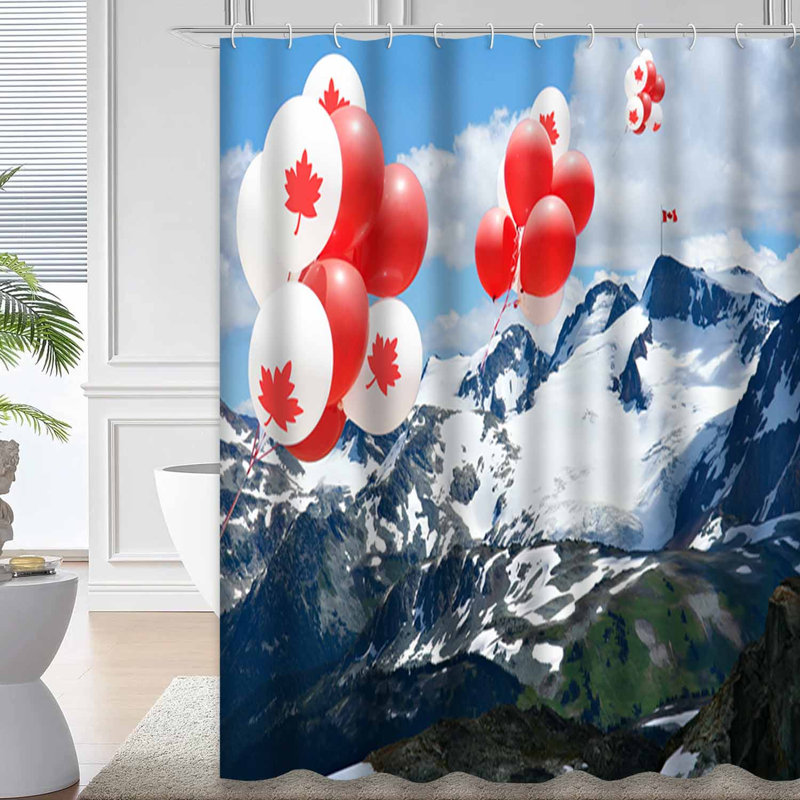 Rideau de douche avec 12 crochets, L 72 po x l 72 po