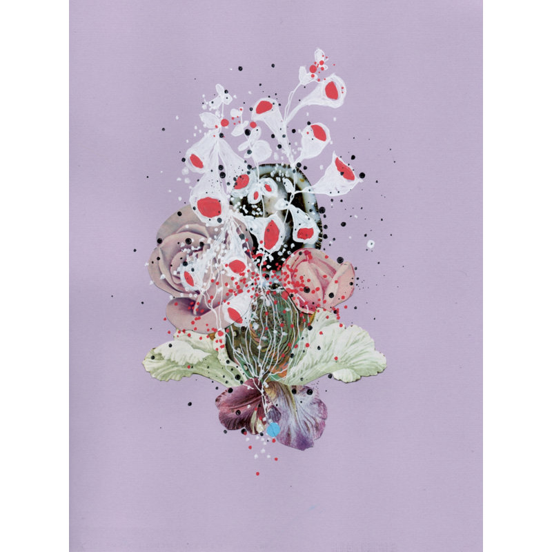 Sea Lace Print by Jenny Brown, 31.25" H x 25.25" W