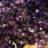 Huge Amethyst Butterfly Geode Crystal Cluster