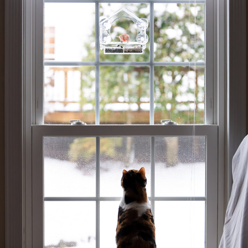 Romana Window Tray Bird Feeder