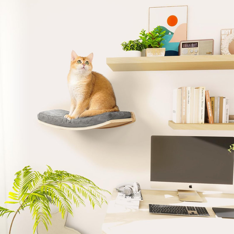 Tablettes et perchoirs courbés pour chat, lit mural flottant pour chat avec coussin confortable