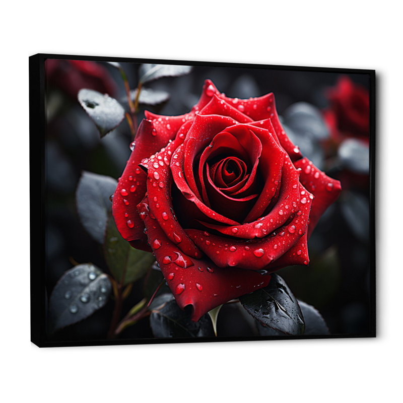 «Atthew Water Drops on Red Rose Majesty II», reproduction, 12" H x 20" W, Cadre flottant noir