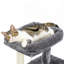 Arbre à chat 34 po-117069042