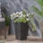 PLANTER-971135855