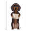 Dachshund by Fab Funky - Print on Canvas-56677100-42160555
