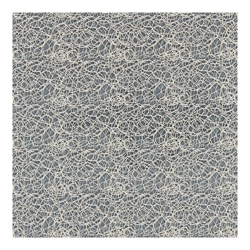 Modern Luxury Modern Lace Fabric, Champagne