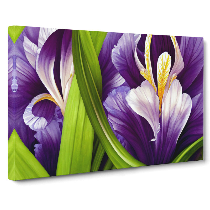 Iris Flowers Vol.8 - Wrapped Canvas Print, 50cm H x 76cm W x 3cm D