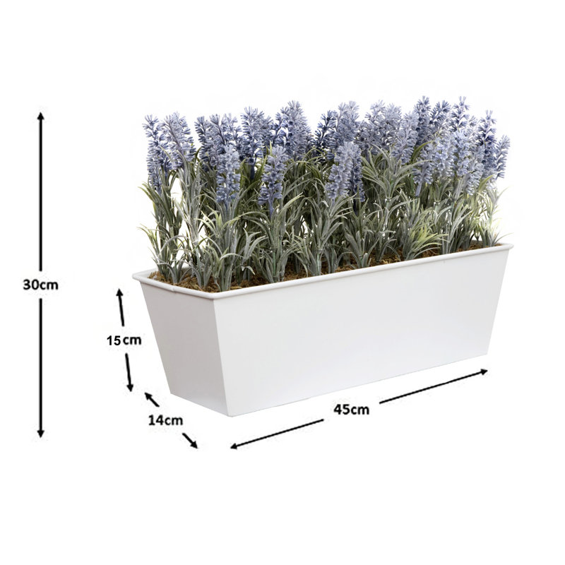 Lavender in Rustic Tin Planter (Window Box), 47.2cm H x 32.4cm W x 17cm D, White