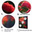 Photo Og Geraniums Field sur impression sur toile-427115082-427115073
