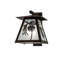 Rustic Lodge 1 - Light Armed Sconce