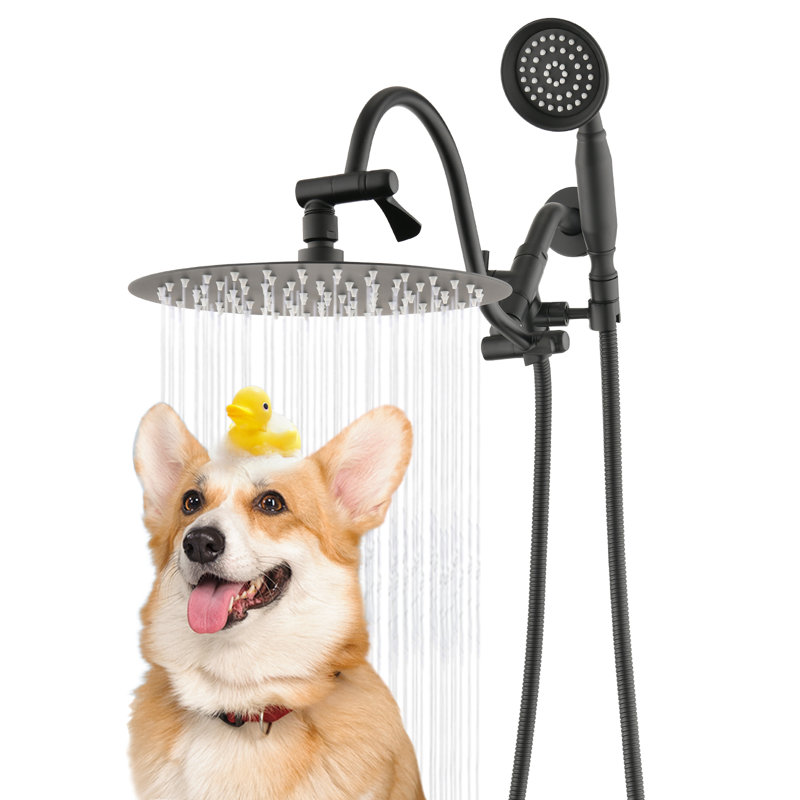 10'' Rainfall Shower Head With 12'' Upgrade Adjustable Extension Arm, Matte Black