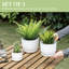 Ceramic Pot Planter-363270053