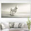 Magnifique cheval blanc qui court - impression sur toile tendue-413930968