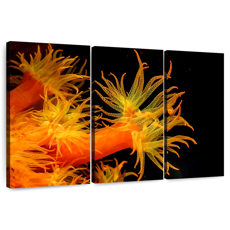 Brampt Sun Polyps, 28" H x 45" W