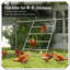 Poulailler Roost Jost Gym Roosting Bar