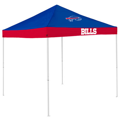 Economy 9 Ft. W x 9 Ft. D Steel Pop-Up Canopy