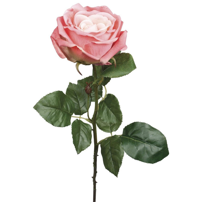 Rose Arrangement, Pink/White