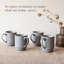 over&back Rimmed 16oz Semi-Matte Hand-Finished Stoneware Mugs, Set of 4-99312928