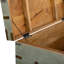 Breandrea Accent Trunk