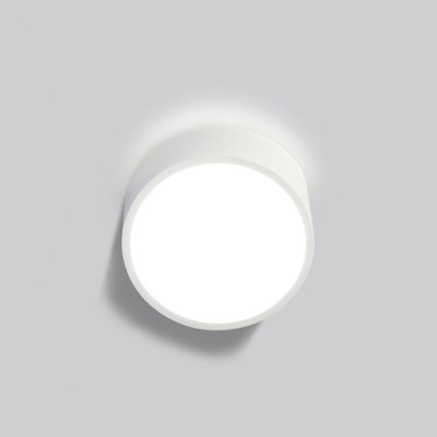 Neasa Silver 2 - Bulb Hardwired Integrated LED Outdoor Wall Light