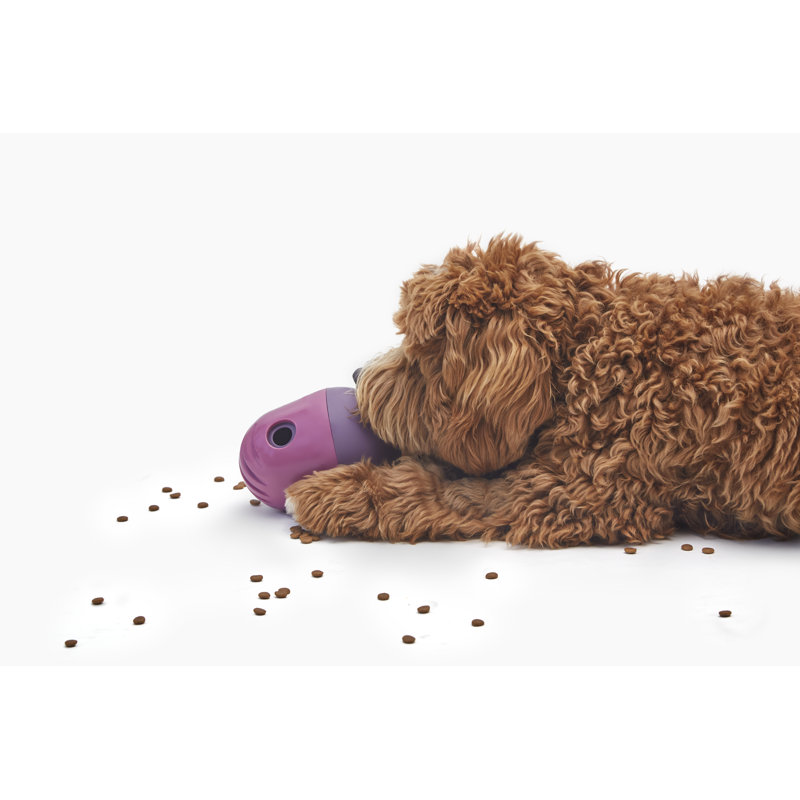1.5 Cups Hybrid Feeder/Toy, Purple