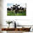 Brampt Holstein Cows-106300422