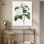 Toile de camélia blanc par Art Remedy-113420526-113420528-113420532