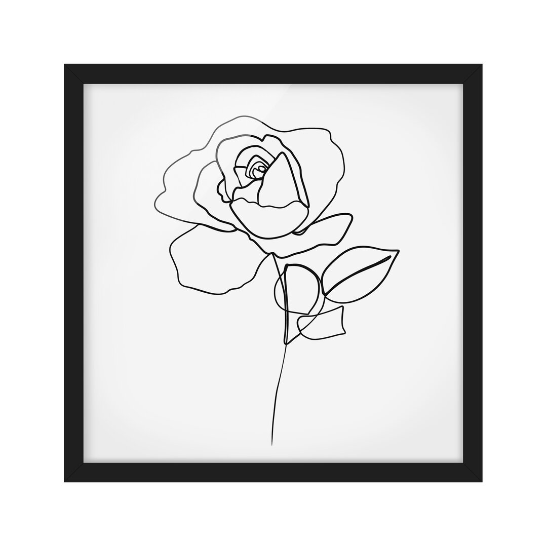 Gerahmter Grafikdruck Line Art Rose