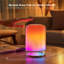 Metal Arched Lamp