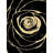 " Black Rose "