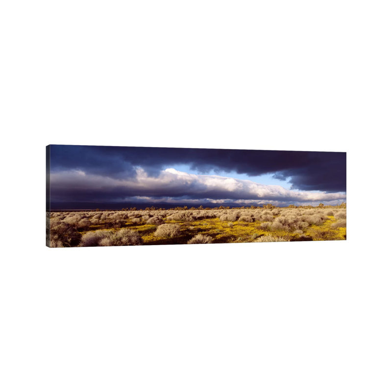 Ominous Sky, Mojave Desert, California, USA 1 Piece Wrapped Canvas Panoramic Wall Art, 121.92 cm H x 40.64 cm W x 3.175 cm D