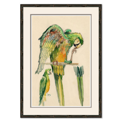 Parrots Giclee Print by Soicher Marin Archives