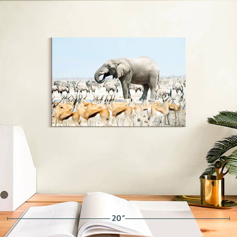 Brampt Safari éléphant Etosha, H 8 po x l 12 po