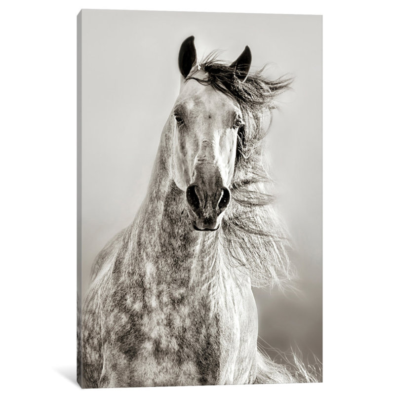 Caballo de andaluz, peinture sur toile tendue, H 12 po x l 8 po x P 0,75 po