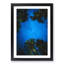 Forest Stars in Germany in Abstract - Picture Frame Graphic Art Print-55724267-55724270