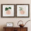 Simple Nature III - Ensemble de 2 peintures-332097883-332097882