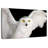 Brampt White Owl-107685922