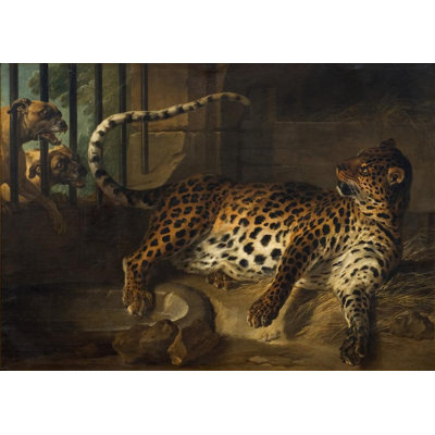 "Leopard in a Cage Confronted by Two Mastiffs" by  Jean-Baptiste Oudry - Gallery Wrap Canvas Wall Art