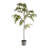 84'' Faux Maple Tree Tree in Ceramic Pot
