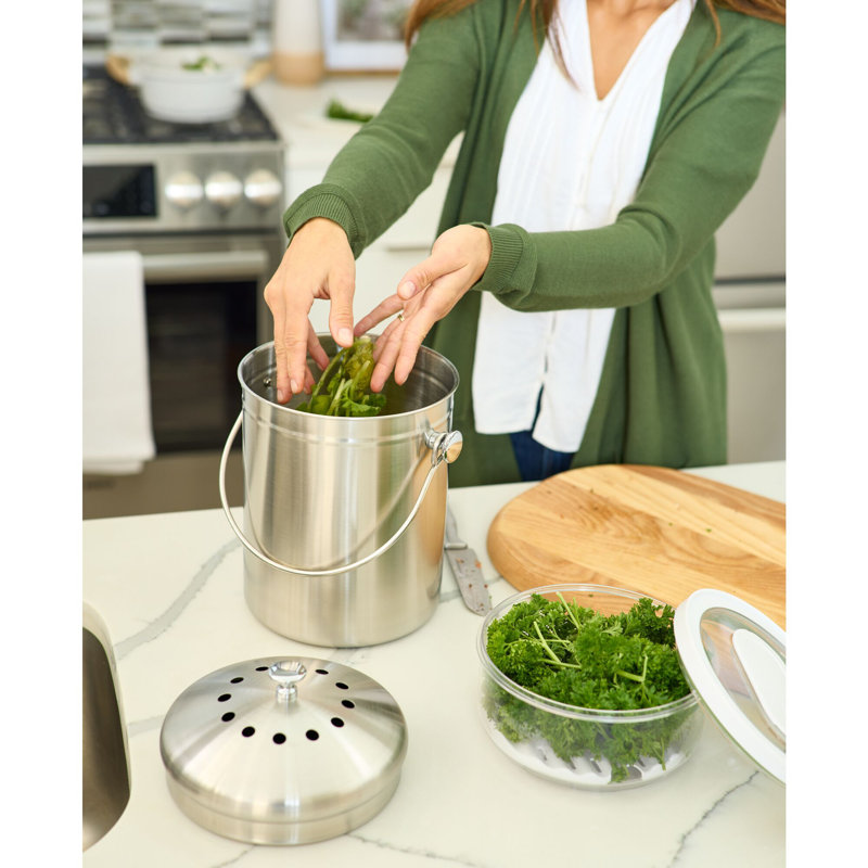 iDesign Brushed Stainless Steel 1.3-gal. Kitchen Countertop Compost Bin with Charcoal Filters