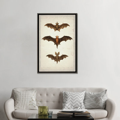 Bats - Wall Art Print - Framed Canvas