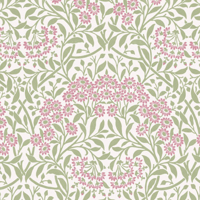  Michaelmas Daisy Pink Cedar Wallpaper
