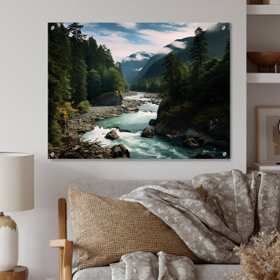 «Washington Mount Rainier National Park III», art mural acrylique à Washington