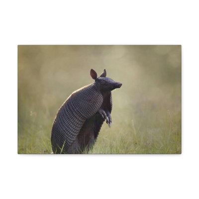 No Frame Print on Canvas