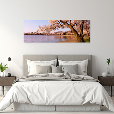 Cherry Blossom Tree Along A Lake, Potomac Park, Washington Dc, Usa Tranquil Abstract Contemporary Cherry Tree Flower Landscape Wall Art